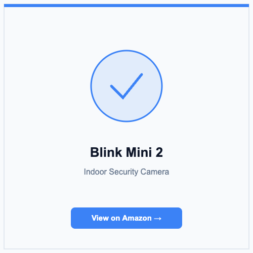 Blink Mini 2
